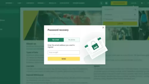 password_recovery_betwinner_ke